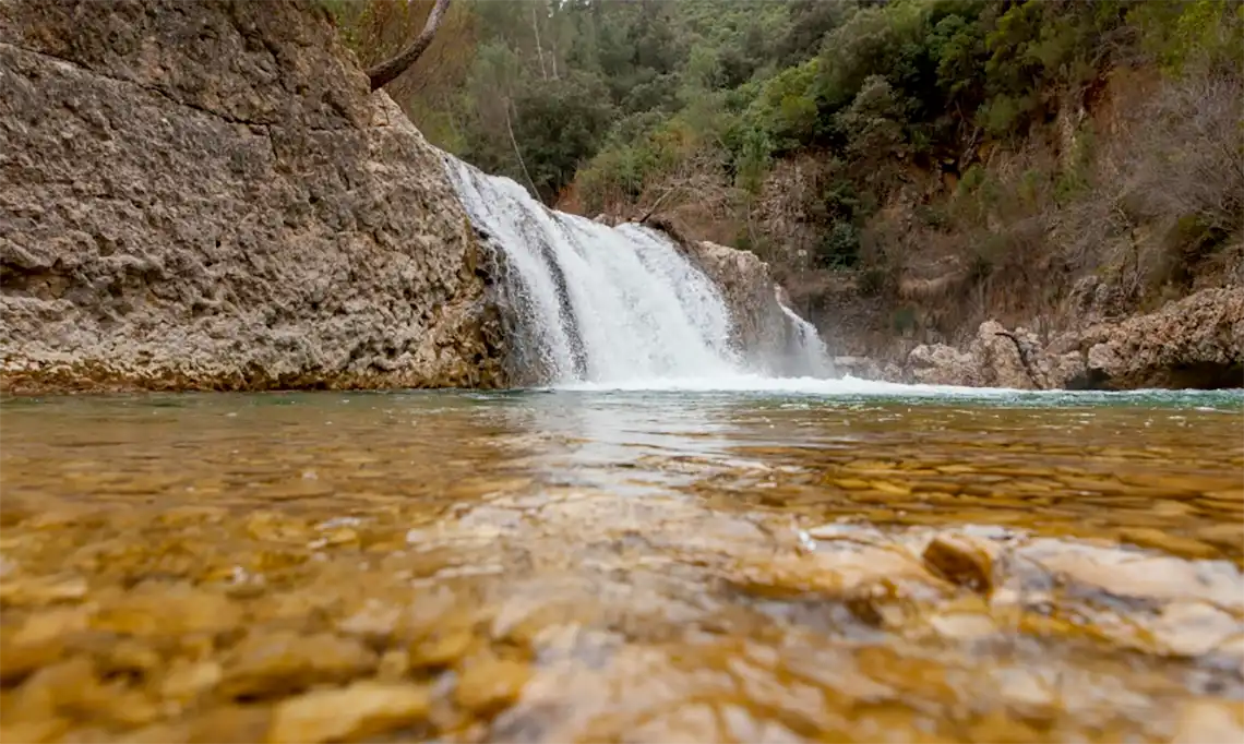 Nascente de um rio com água limpa e cristalina