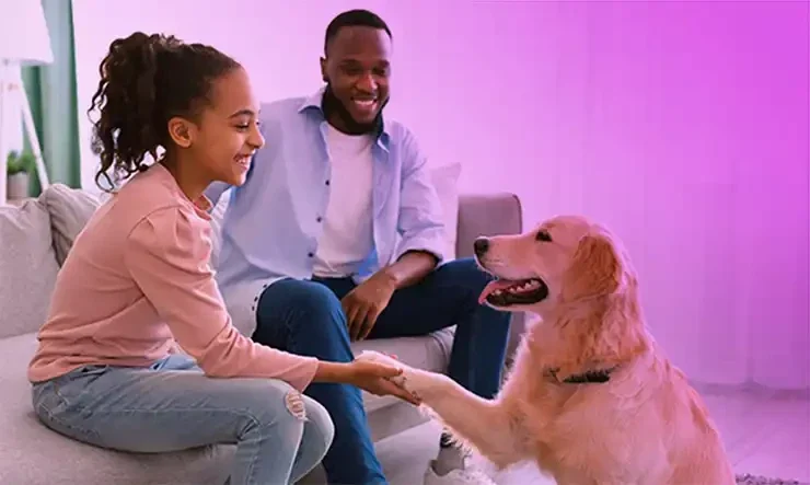 A psicologia animal ajuda a compreender melhor o seu pet